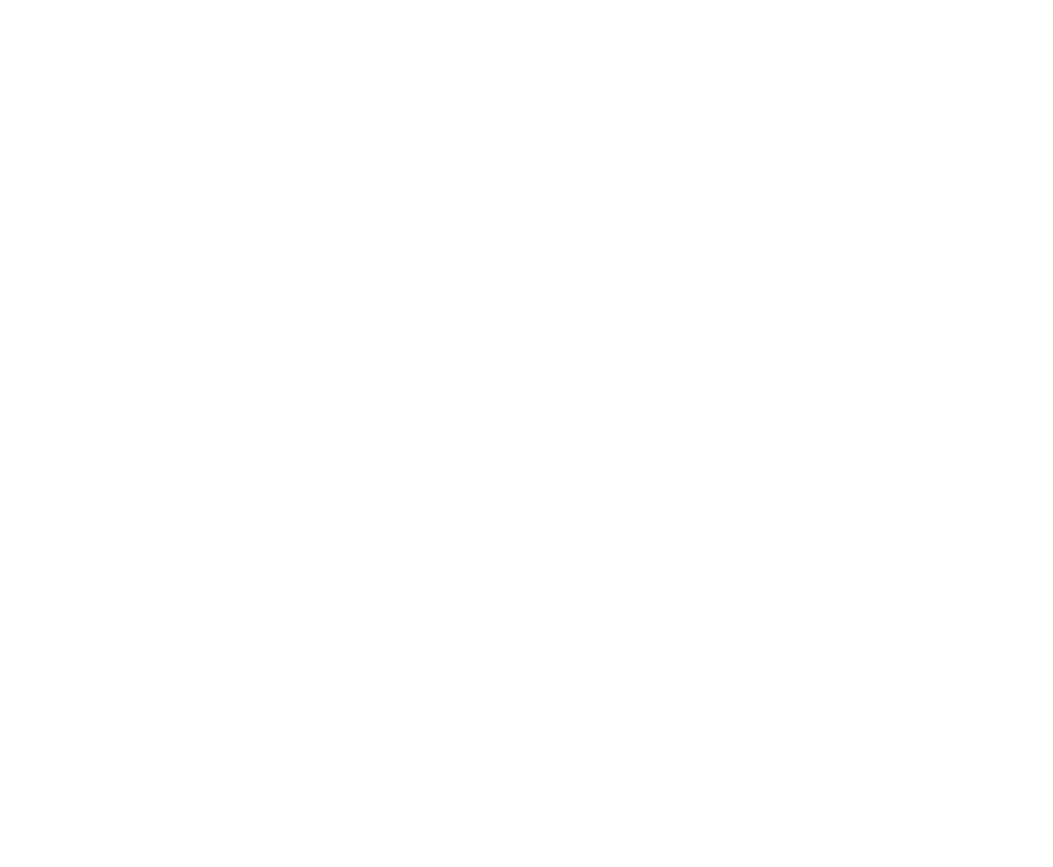 4つのD