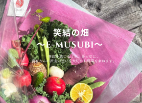 笑結の畑〜E-musubi〜 